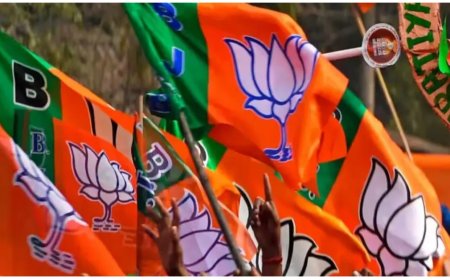 ନିର୍ବାଚନସରିବା ପୂର୍ବରୁ କୋର୍‌ କମିଟି ଘୋଷଣା କଲା ଭାଜପା, ଅପରାଜିତାଙ୍କୁ ମିଳିଲାନି ସ୍ଥାନ