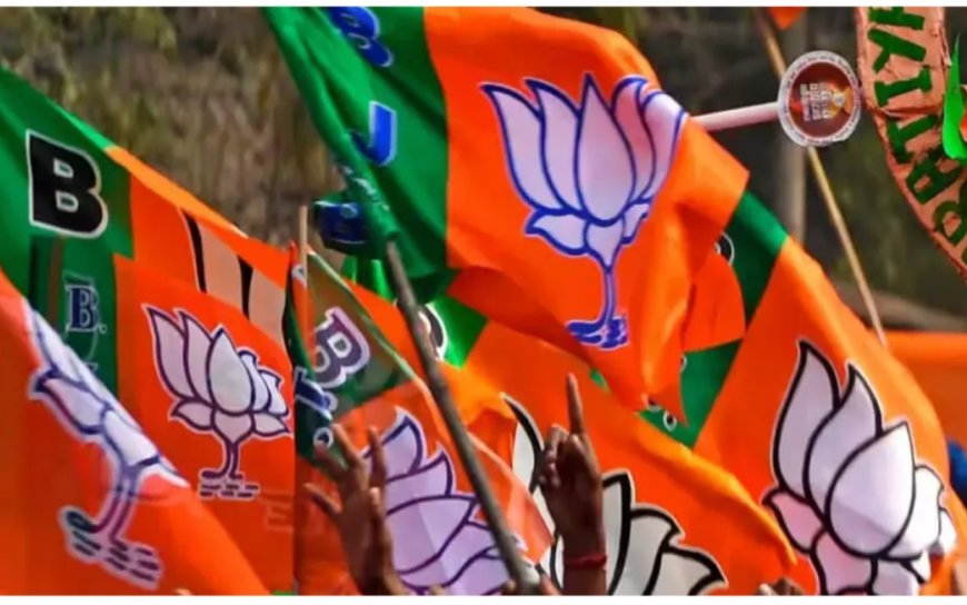 ନିର୍ବାଚନସରିବା ପୂର୍ବରୁ କୋର୍‌ କମିଟି ଘୋଷଣା କଲା ଭାଜପା, ଅପରାଜିତାଙ୍କୁ ମିଳିଲାନି ସ୍ଥାନ